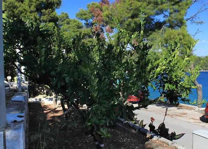 Apartments Rud - 15 M From Sea
